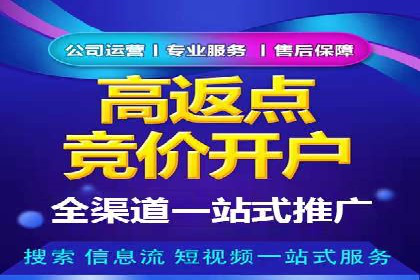深度解析：百度竞价排名的成功案例及启示
